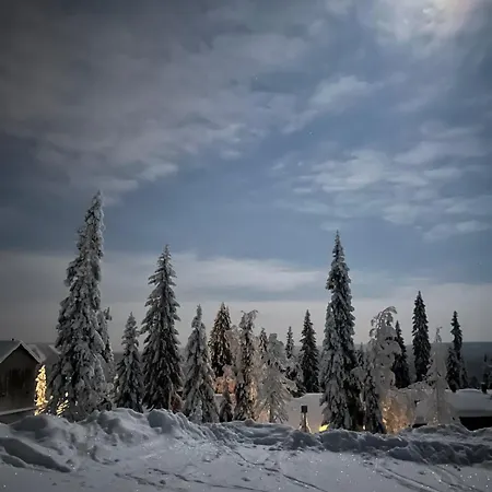 Vila Uusi Ja Viihtyisae Rinnemoekki, *