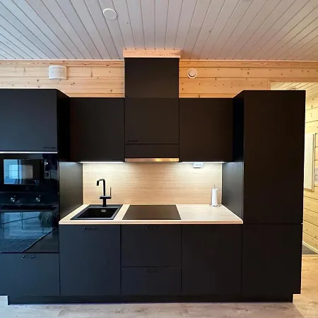 别墅 Karhunpesae 索特