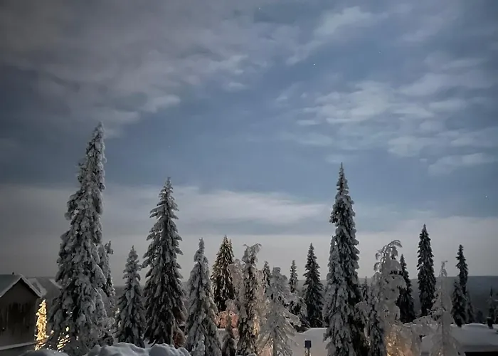 ヴィラ Karhunpesae *